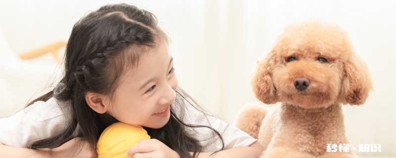 拜耳驱虫药怎么吃 给狗狗吃拜耳驱虫药需要禁食吗