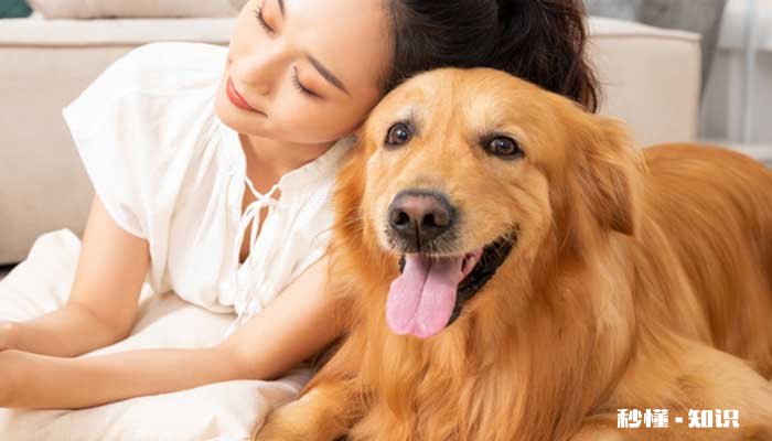 拜耳驱虫药怎么吃 给狗狗吃拜耳驱虫药需要禁食吗