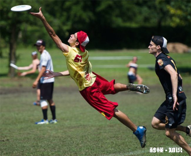 飞盘能身体接触吗