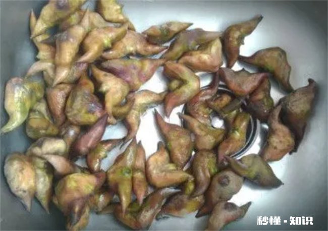 菱角冷冻一年可以食用吗