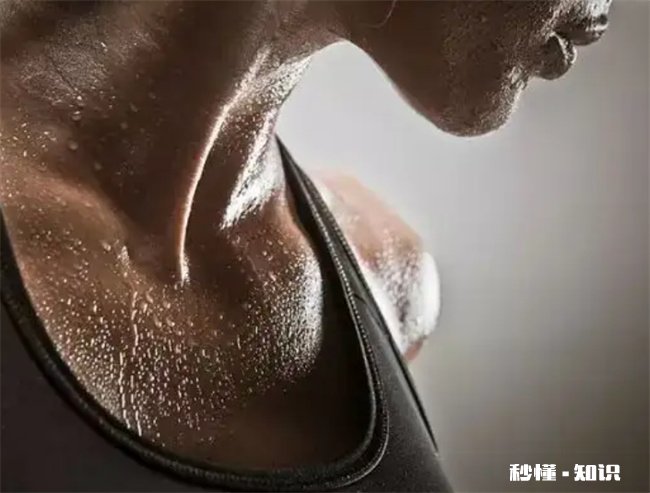 夏天怎么减肥瘦的最快