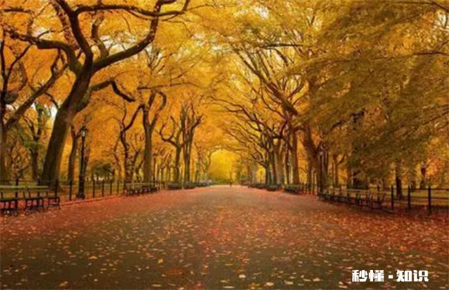 2022处暑过后天气还返潮气吗