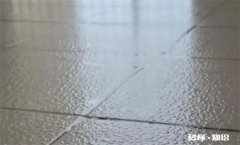 2022处暑过后天气还返潮气吗