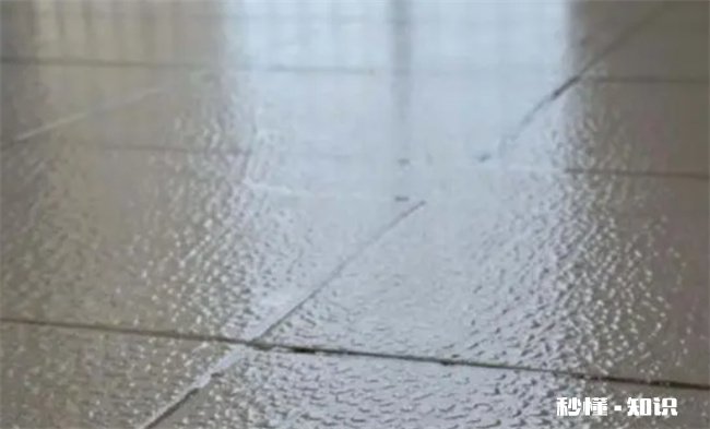 2022处暑过后天气还返潮气吗