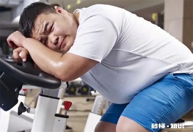 夏天减肥快还是冬天减肥快