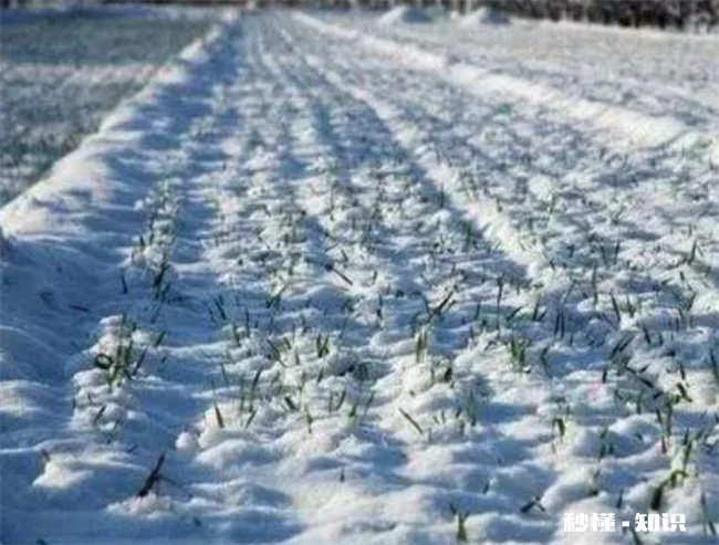 2022年是60年最冷的一年吗