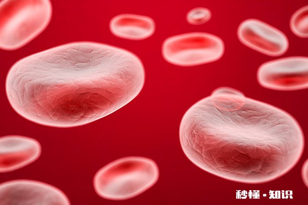 胆红素高忌吃什么食物 胆红素高是怎么回事