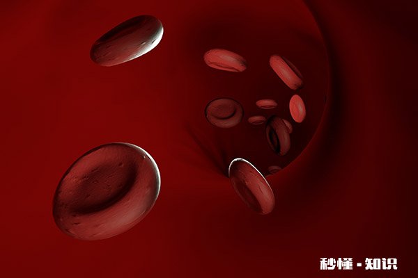 胆红素高忌吃什么食物 胆红素高是怎么回事