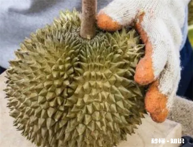 榴莲怎么开不扎手不伤手