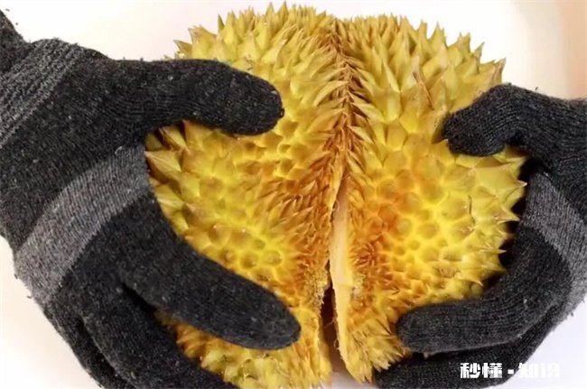 榴莲怎么开不扎手不伤手