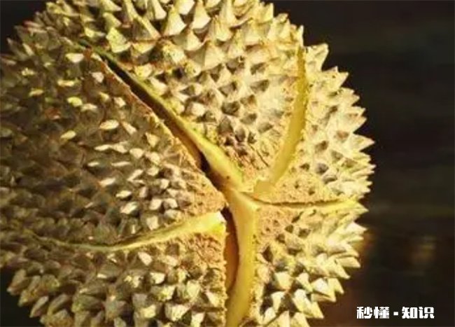 榴莲怎么开不扎手不伤手