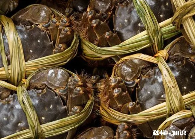 活螃蟹怎样保存时间长一些