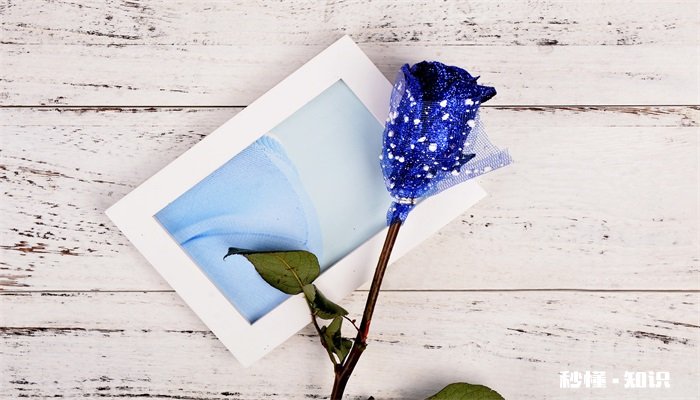 蓝色玫瑰花语 蓝色玫瑰花语是什么
