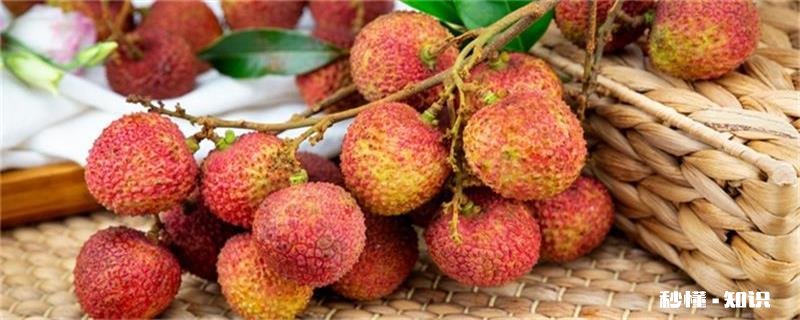 荔枝几月份成熟 荔枝几月份可以成熟