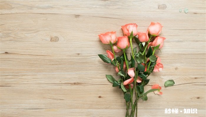 玫瑰花怎么修剪才茂盛 玫瑰花怎么修剪