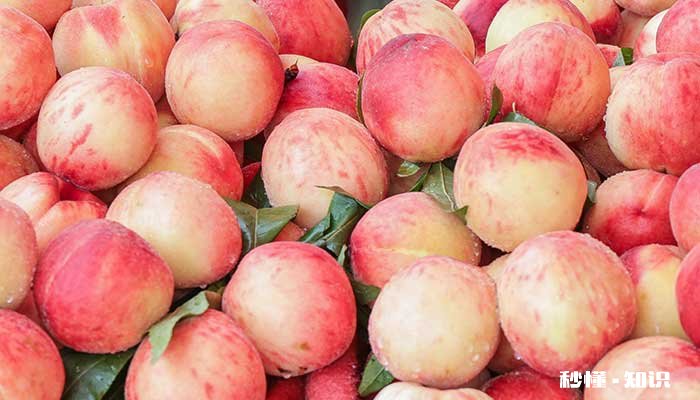 桃树硬核期施什么肥 桃树硬核期怎么施肥