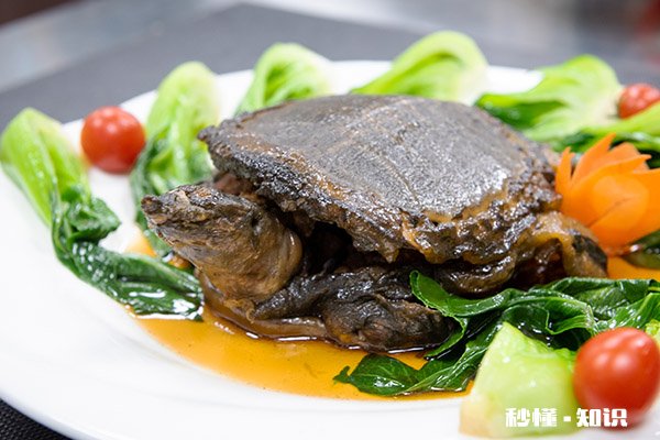 鸭肉和什么不能一起吃 鸭肉不能与什么同食