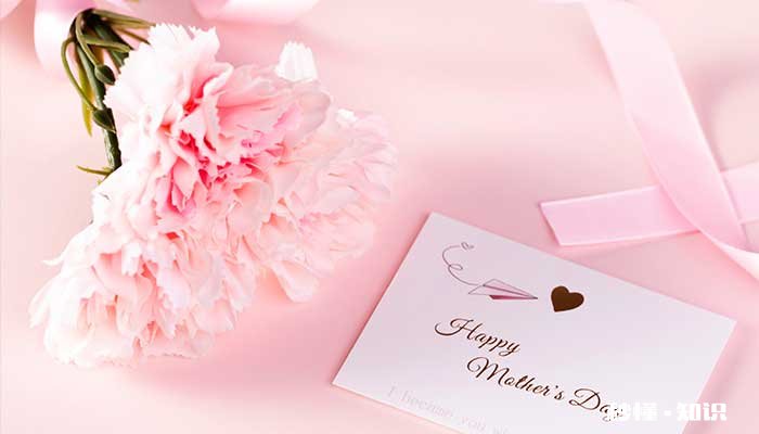 红色康乃馨花语 红色康乃馨花语是什么