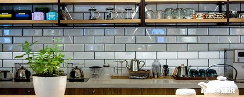 盆栽薄荷的养殖方法和注意事项 盆栽薄荷的种植方法和注意事项