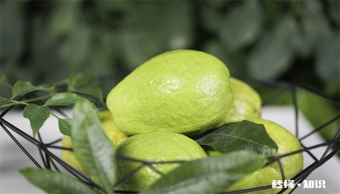 番石榴施什么肥更甜爽 想要番石榴甜爽要施什么肥