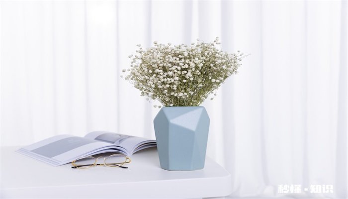 蓝色妖姬加满天星的花语是什么 蓝色妖姬加满天星的花语是什么意思