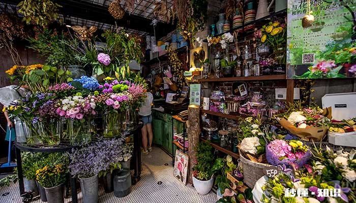 丽格海棠怎么修剪叶子 丽格海棠如何修剪叶子