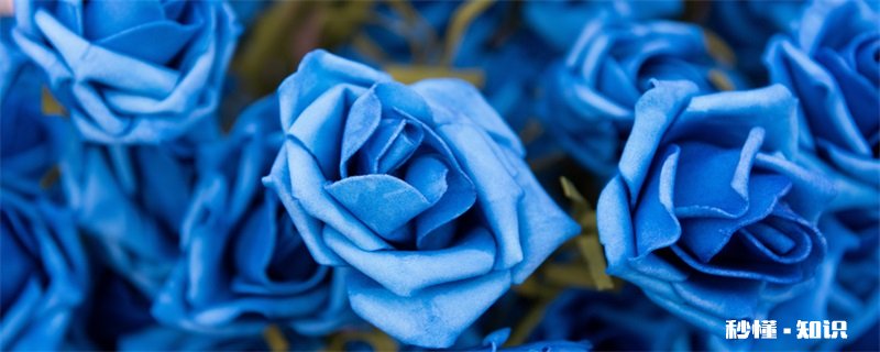 蓝色妖姬的花语 蓝色妖姬的花语是什么