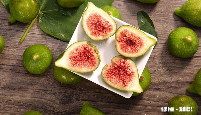 盆栽无花果怎么修剪 盆栽无花果的修剪方法