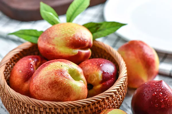 紫菜不能和什么一起吃 紫菜的同食禁忌