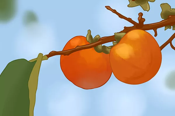 紫菜不能和什么一起吃 紫菜的同食禁忌