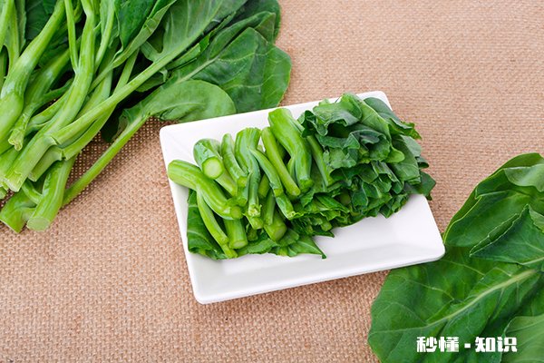 紫菜不能和什么一起吃 紫菜的同食禁忌