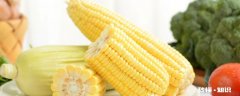煮玉米需要多长时间 水煮玉米要煮多久