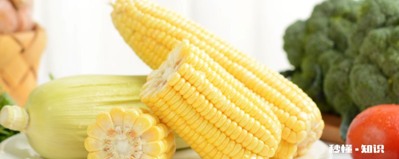 煮玉米需要多长时间 水煮玉米要煮多久