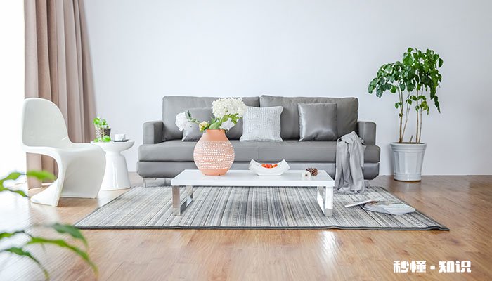 幸福树怎么养 幸福树怎么种怎么养