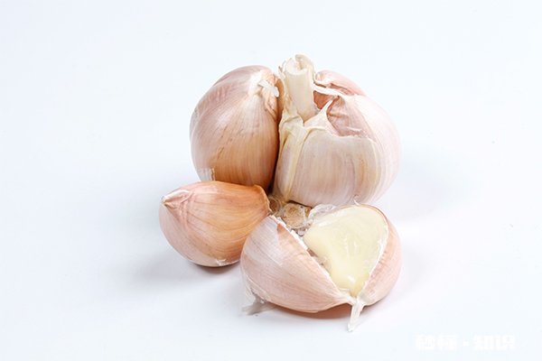 芦笋不能和什么一起吃 芦笋和什么食物相克