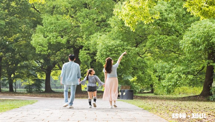 绿化树有哪些 哪些属于绿化树