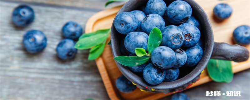 蓝莓施什么肥 蓝莓用什么肥料