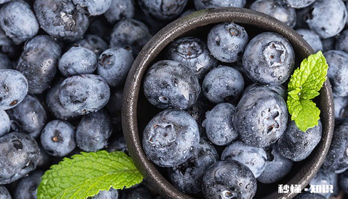 蓝莓施什么肥 蓝莓用什么肥料