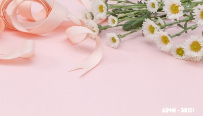 小雏菊怎么修剪 小雏菊的修剪方法