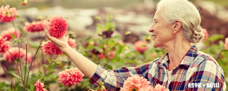 椰砖土使用方法 椰砖土的使用方法