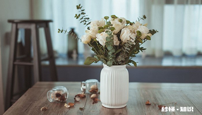 玫瑰花施什么肥 玫瑰花的施肥方法