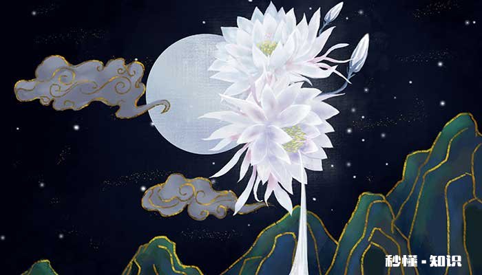 昙花什么时候开 昙花的开花时间