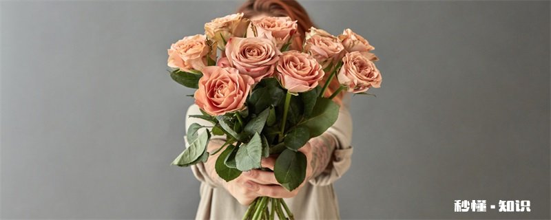 粉红玫瑰花语 粉红玫瑰花语是什么