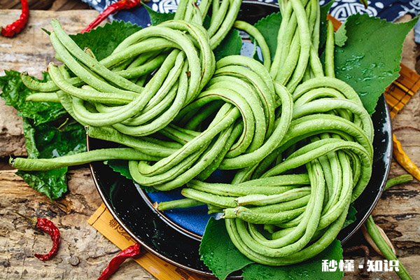 豆角的禁忌人群 豆角的功效与作用