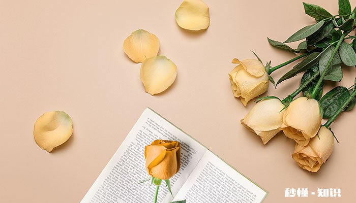 黄玫瑰的花语 黄玫瑰的花语是什么