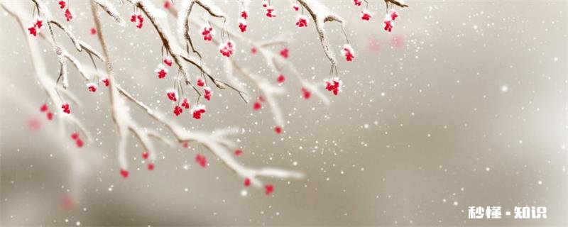 关于咏梅的名句 咏梅的句子有哪些