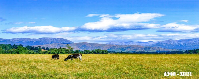 新西兰属于哪个国家 新西兰属于什么国家