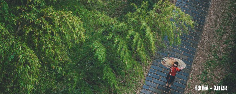 李清照的武陵春表达了什么思想感情 武陵春表达了什么情感