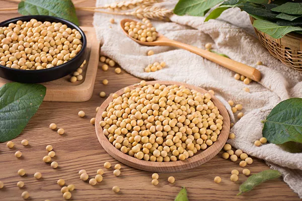 木耳不能和什么食物一起吃 木耳的同食禁忌