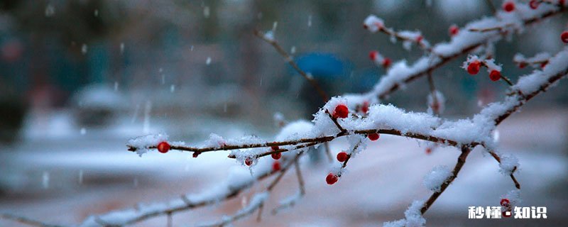 卜算子咏梅表达了什么样的思想感情 陆游的卜算子咏梅表达了什么情感